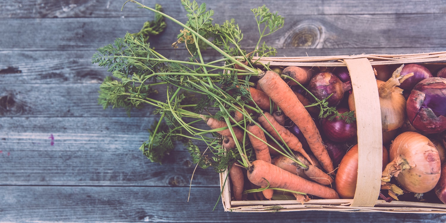 Basket of Vegetables 