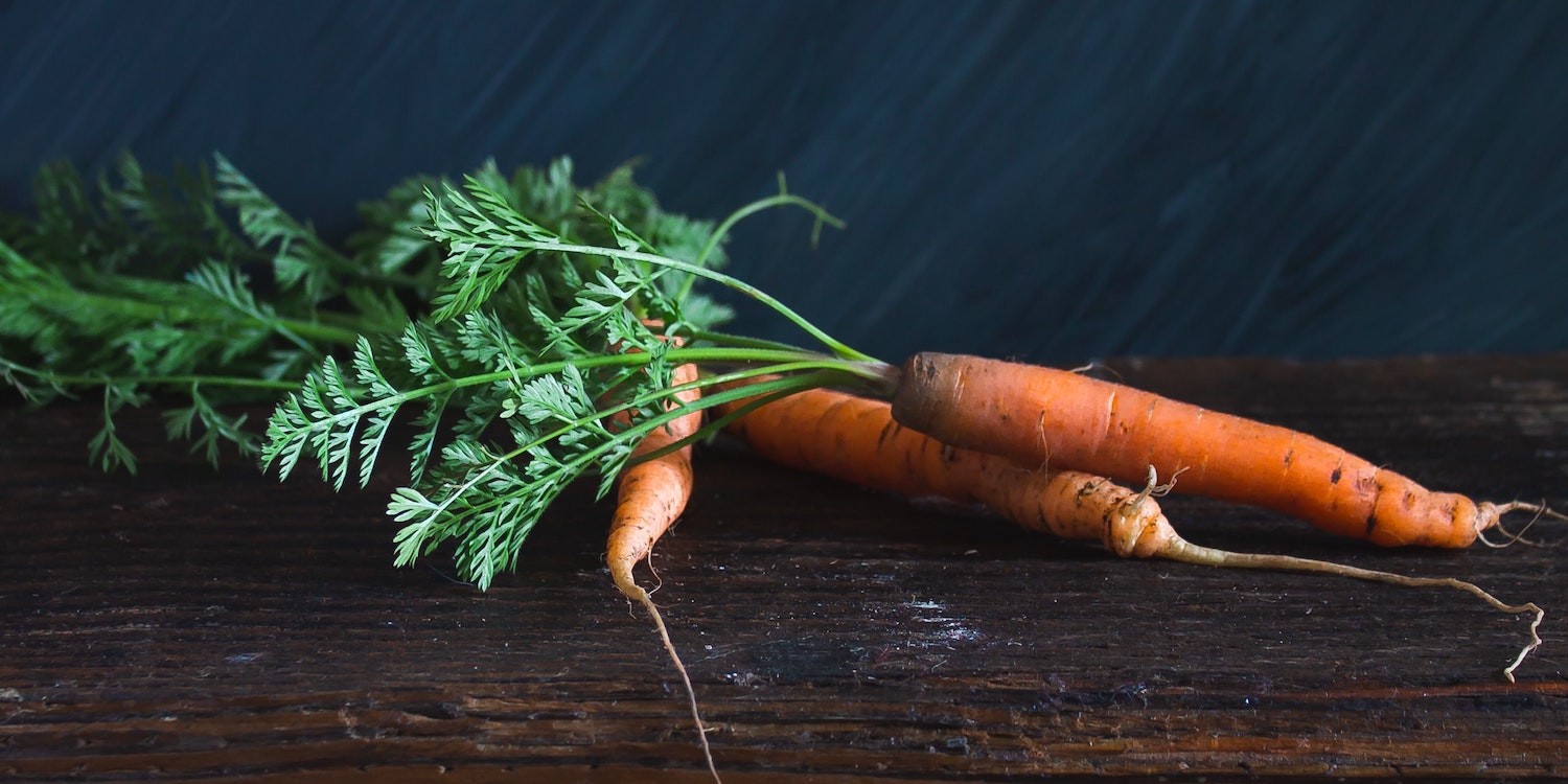 Don’t Throw Away Those Scraps! An Intro to Re-growing Vegetables