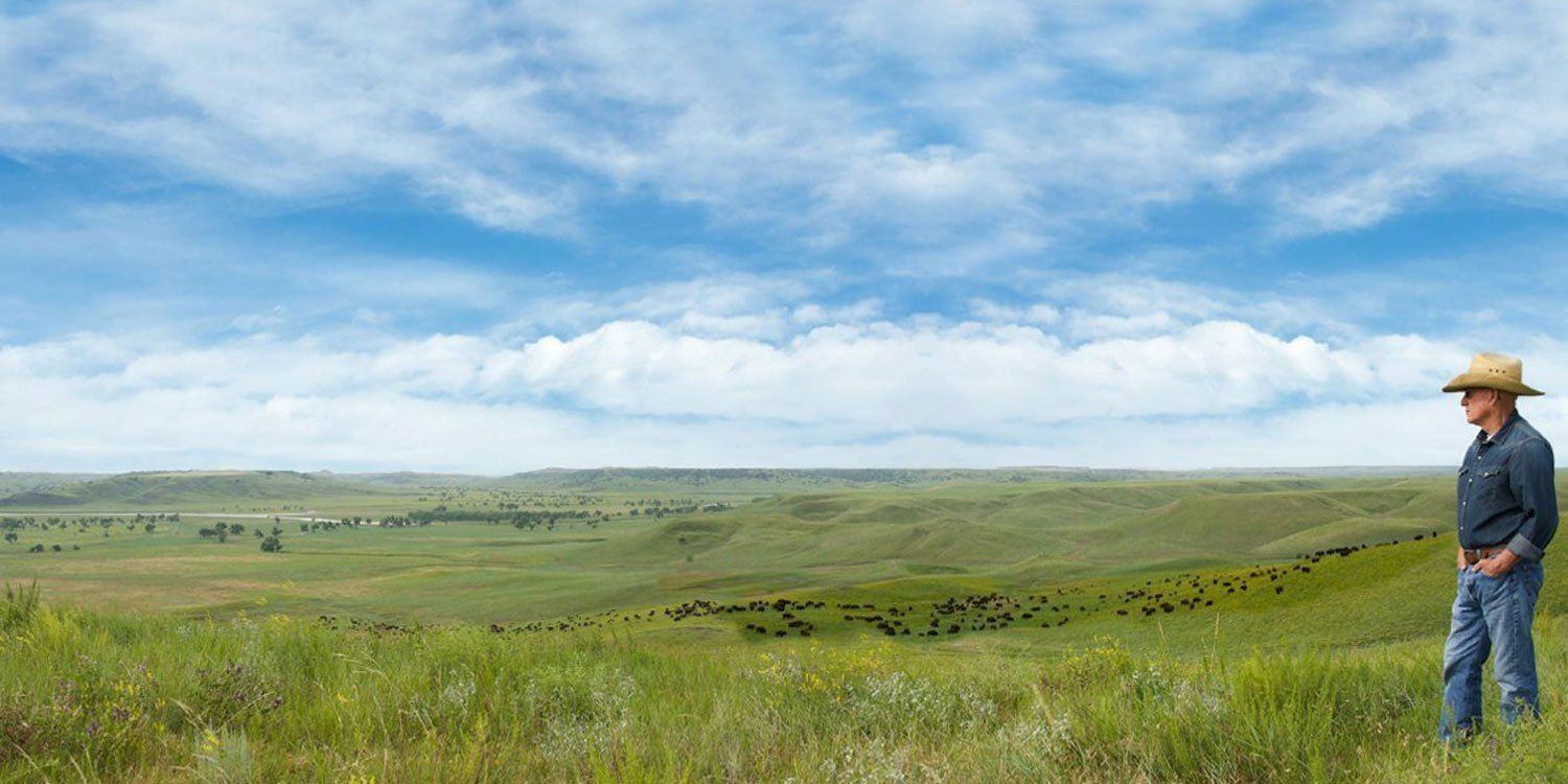 Dan O'Brien & Wild Idea Buffalo Company in South Dakota