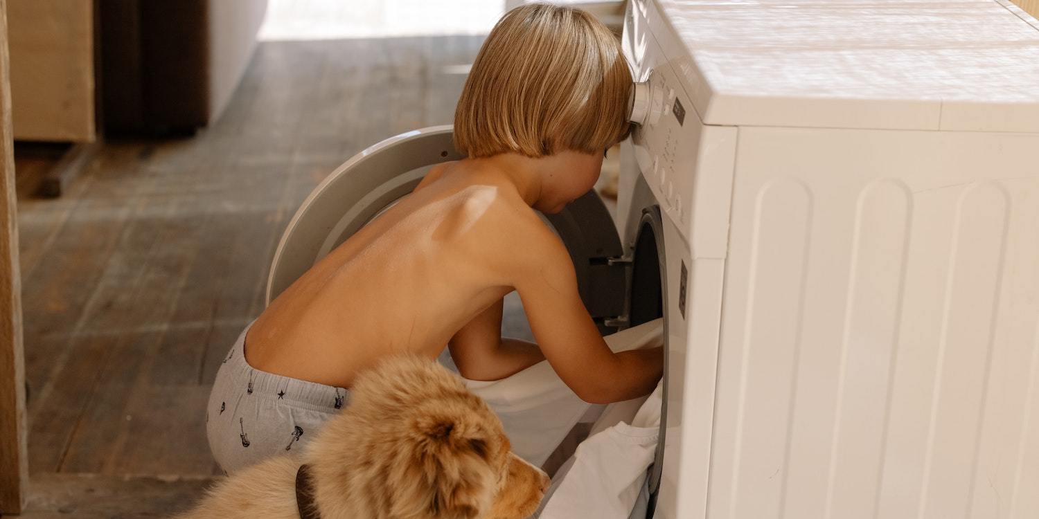 Boy Doing Laundry With Dog