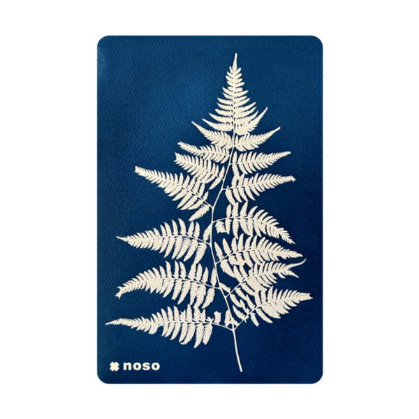 NoSo Patches_Fern