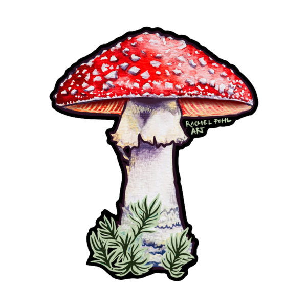 NoSo Patches_Red Toadstool