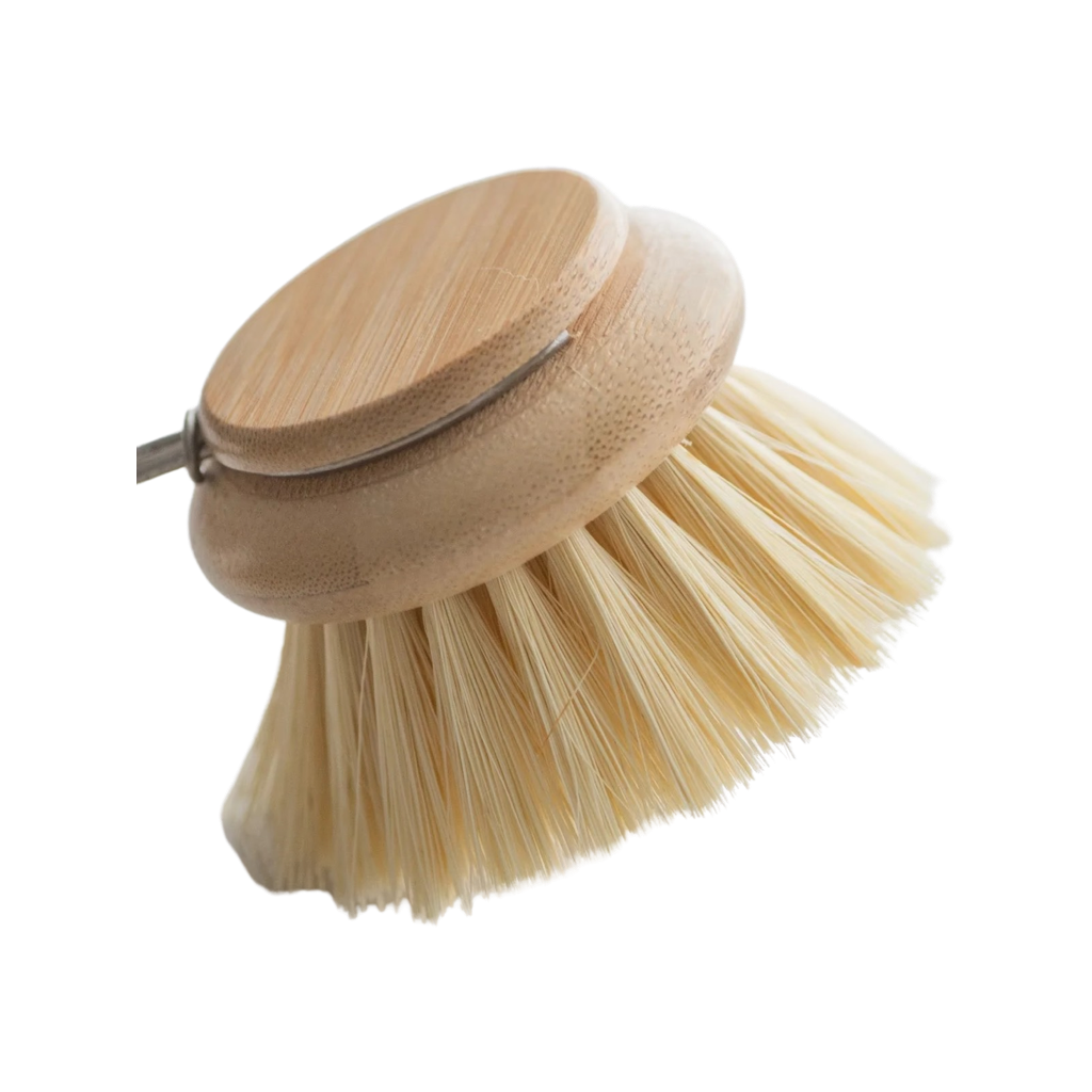 https://lochtree.com/cdn/shop/products/Long_Handle_Brush_Replacement_Head_1200x.png?v=1660570335