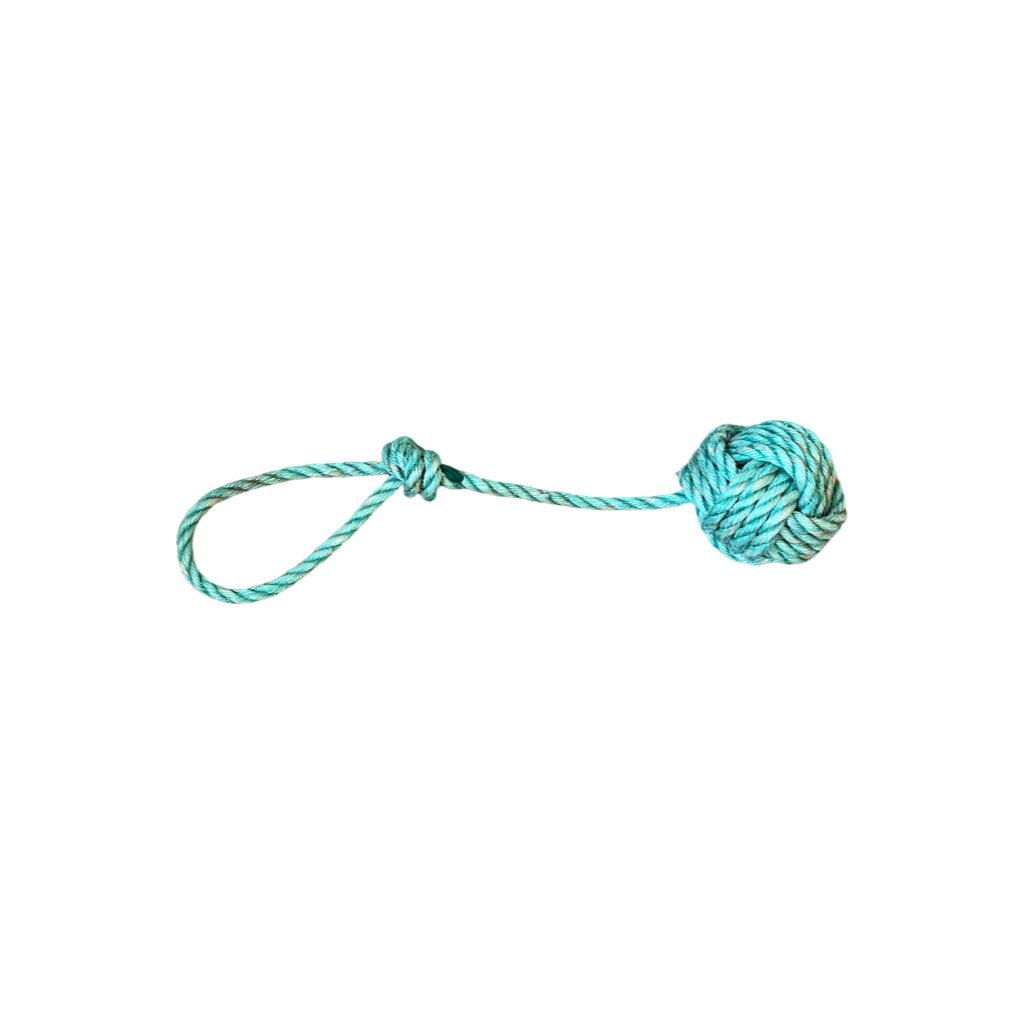 Nylon rope top dog toy