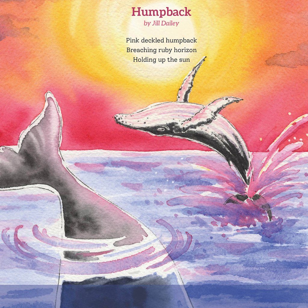 The Writers' Loft - Friends & Anemones: Ocean Poems for Children