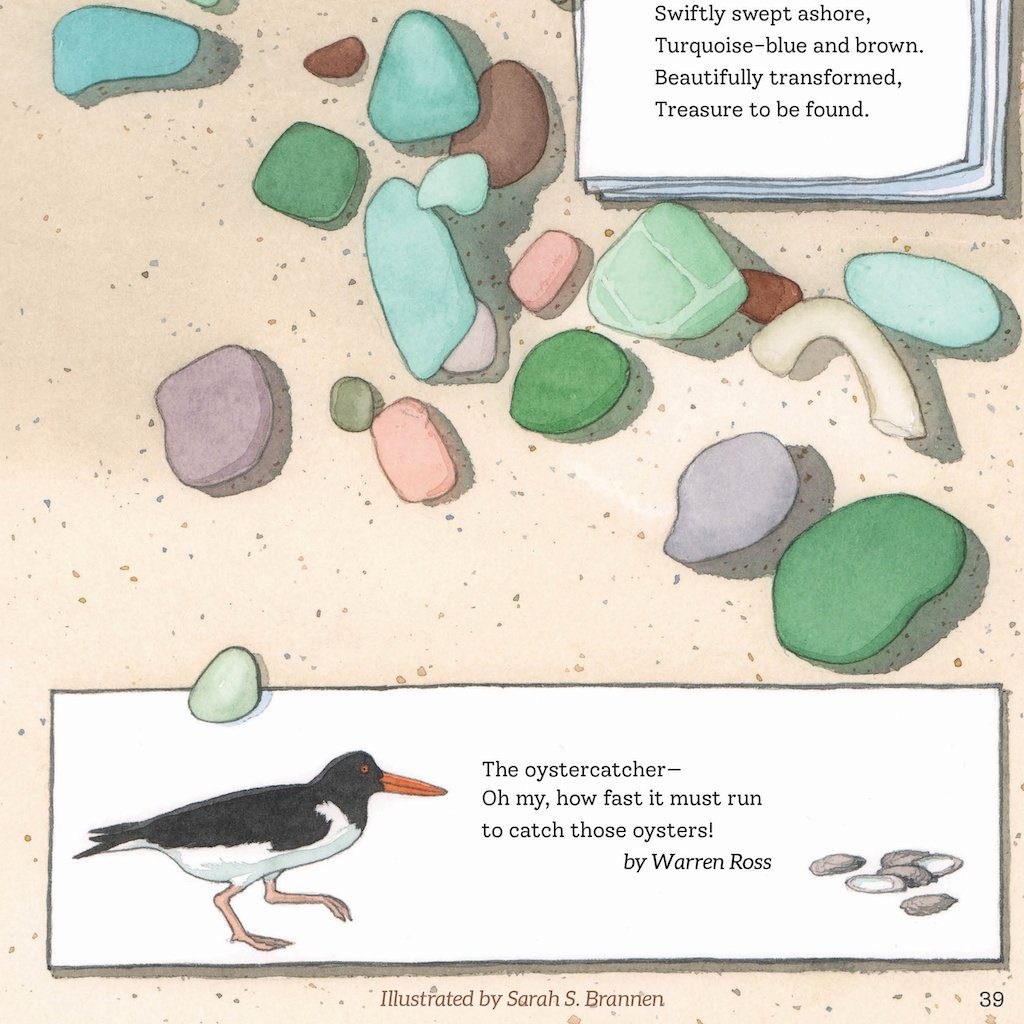 Friends & Anemones Ocean Poems for Children - Book Cover