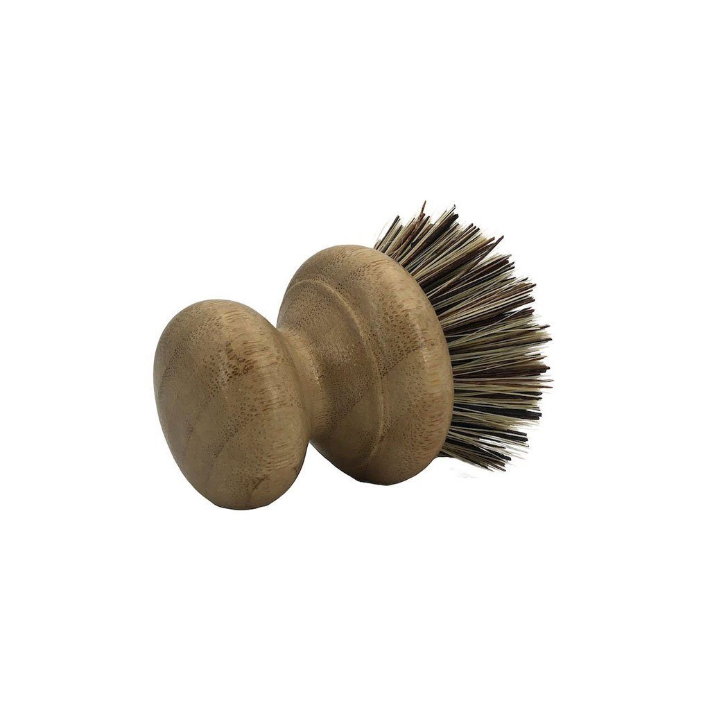 Wire Brush, With Scrubbing Handle